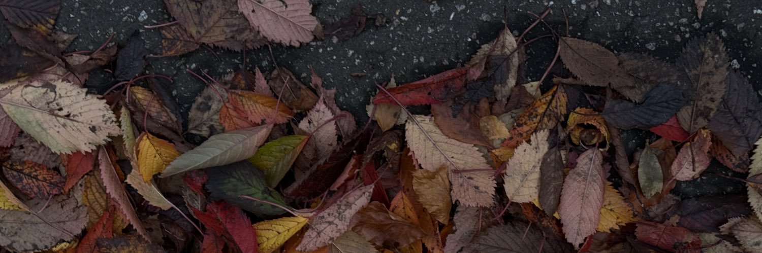 miapascoex's profile banner image