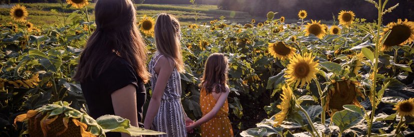 amandarn0ld's profile banner image