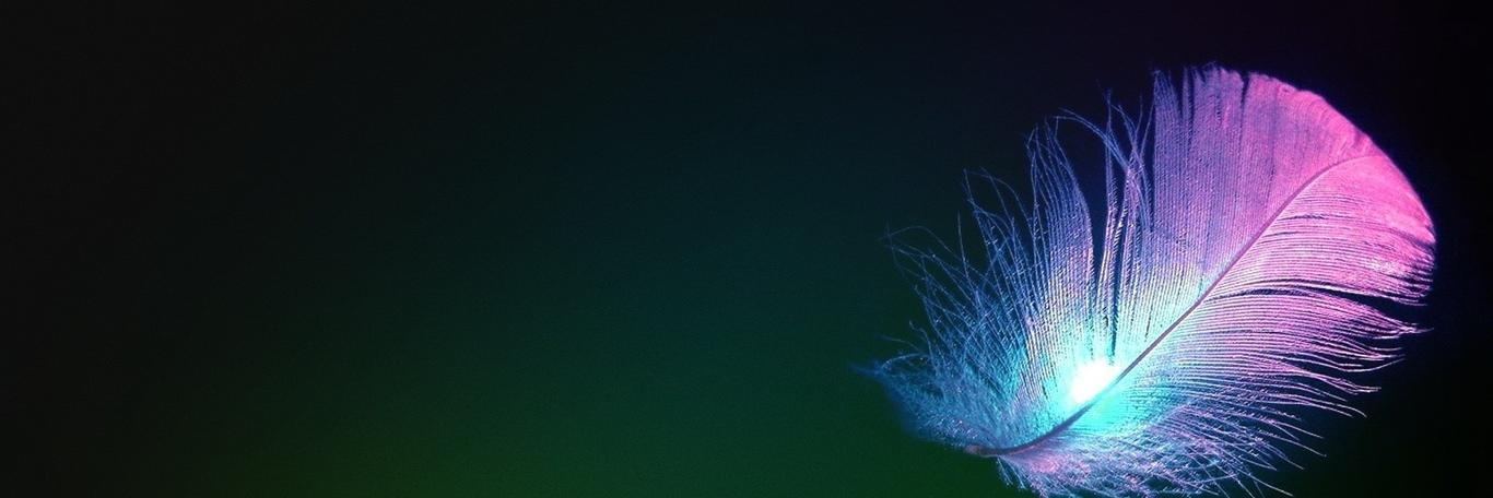 danniconcha's profile banner image