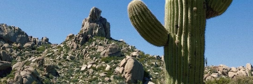 TreyMcCormick12's profile banner image