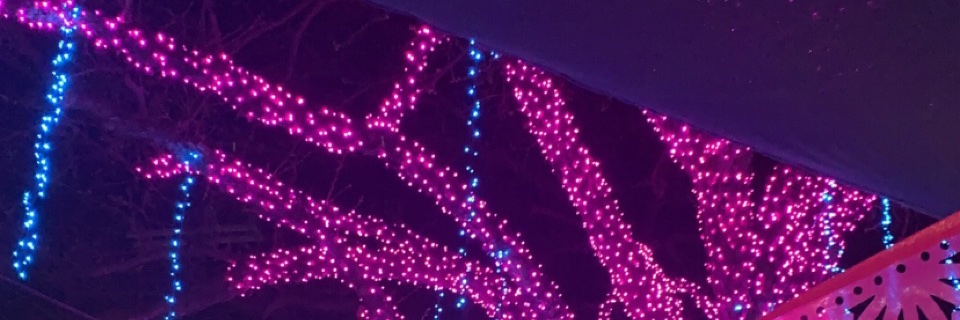 ameava13's profile banner image