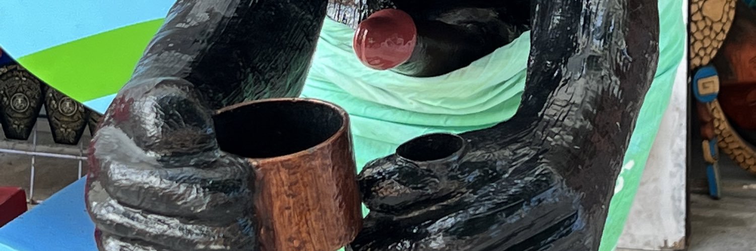 PochitoDiggler's profile banner image