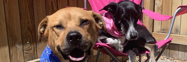 NealeOBooks Profile Banner