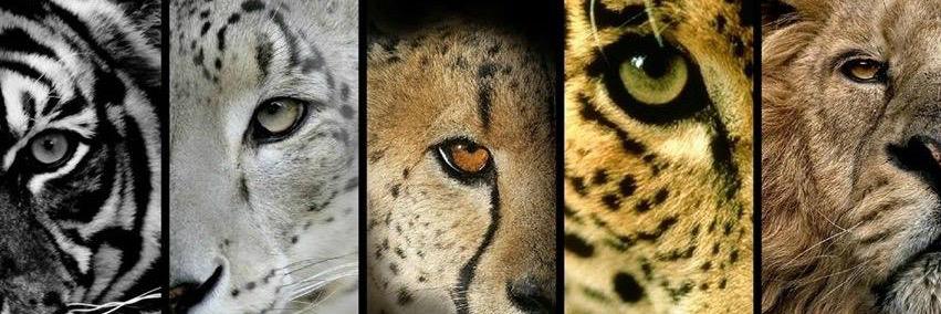 ed_morisette's profile banner image