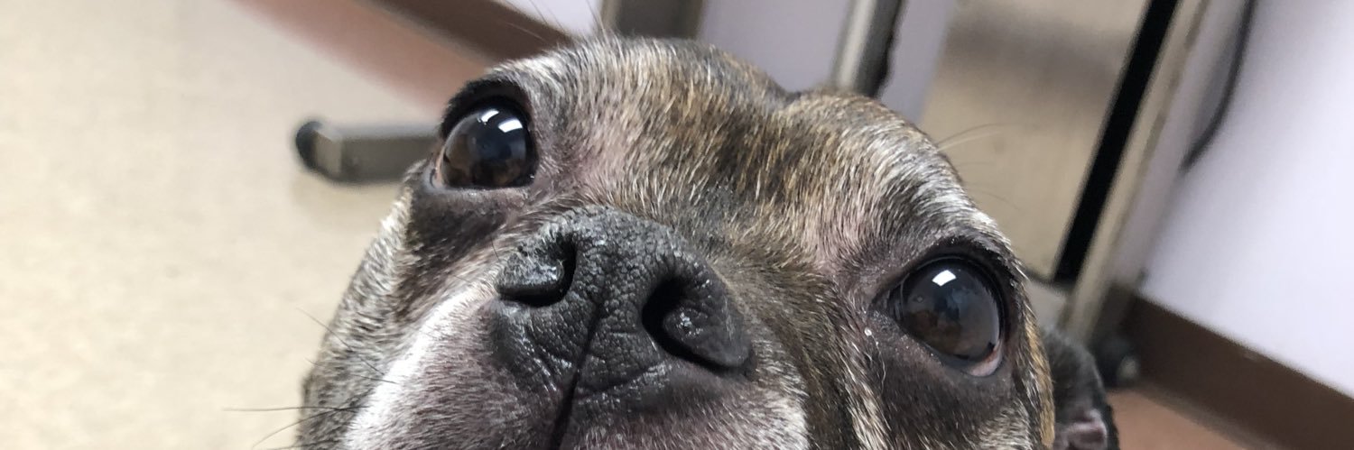 OttoPuddles's profile banner image