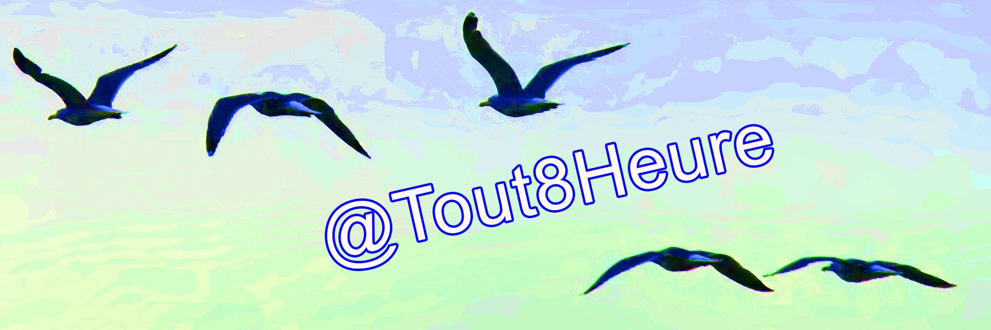 Tout8Heure's profile banner image