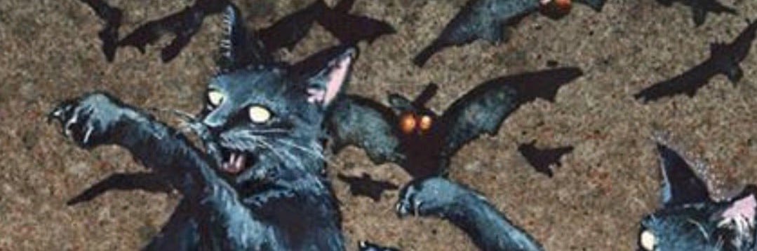 PupVash23's profile banner image