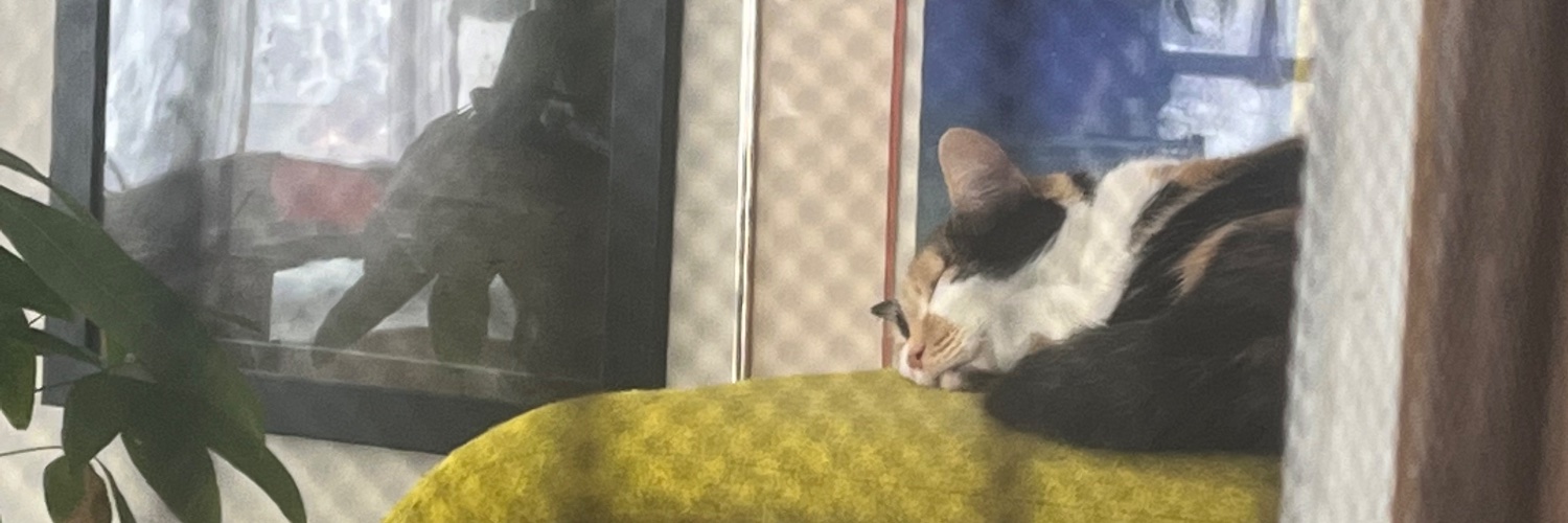 Eli__cherrypie's profile banner image