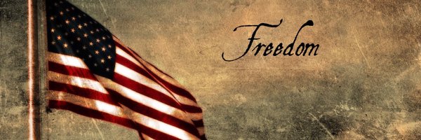 amaryllisfox Profile Banner