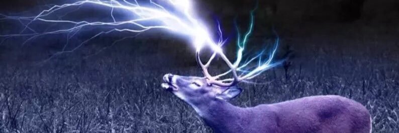 johnath44641698's profile banner image