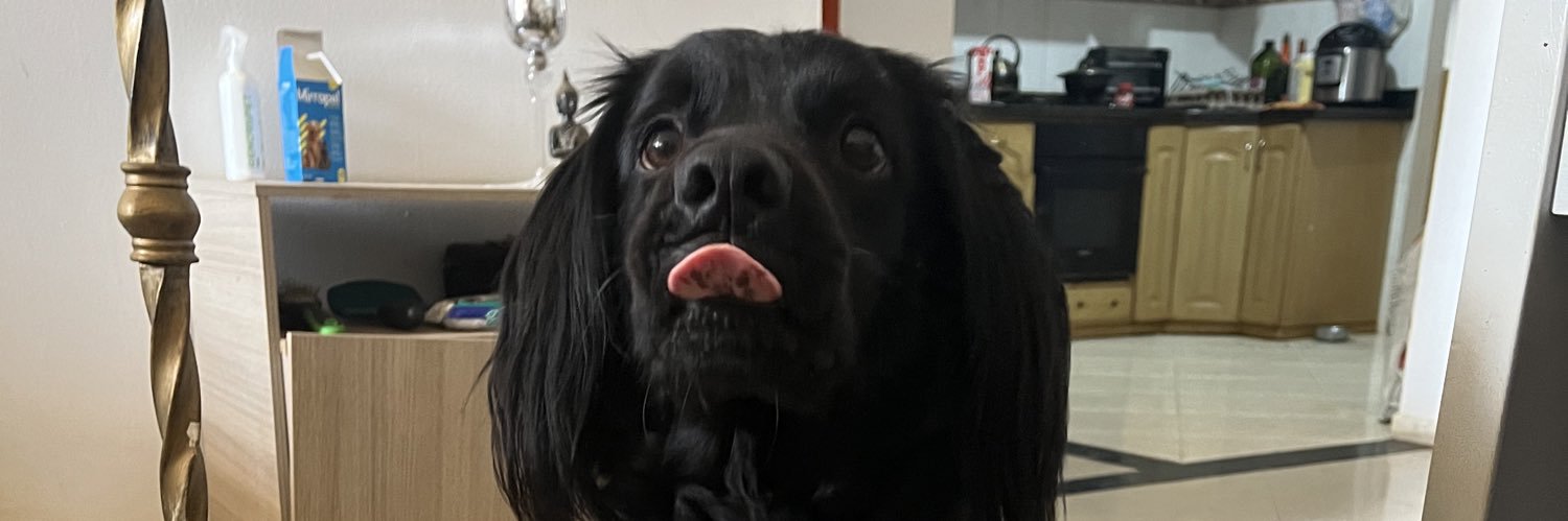 AleJones29's profile banner image