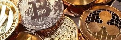 Mario del Bosque Gui banner