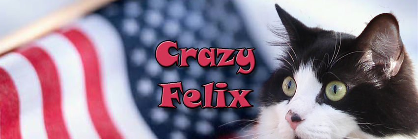 Crazy_Felix's profile banner image
