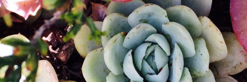 gracejwong's profile banner image