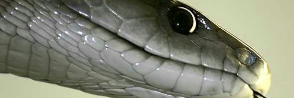 Vusintuli10's profile banner image