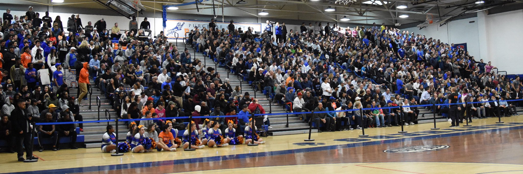 SUNY Purchase Basketball banner