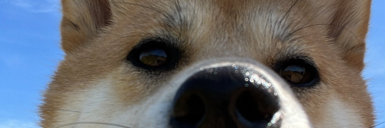 breogan2104's profile banner image