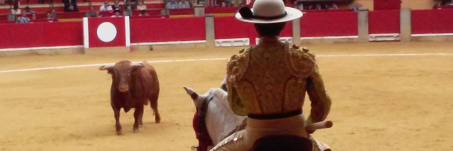 pedrosierrame's profile banner image