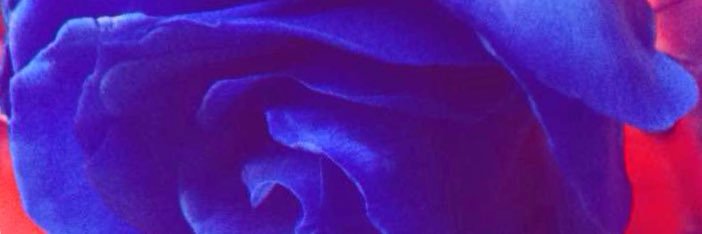 moorebree8's profile banner image
