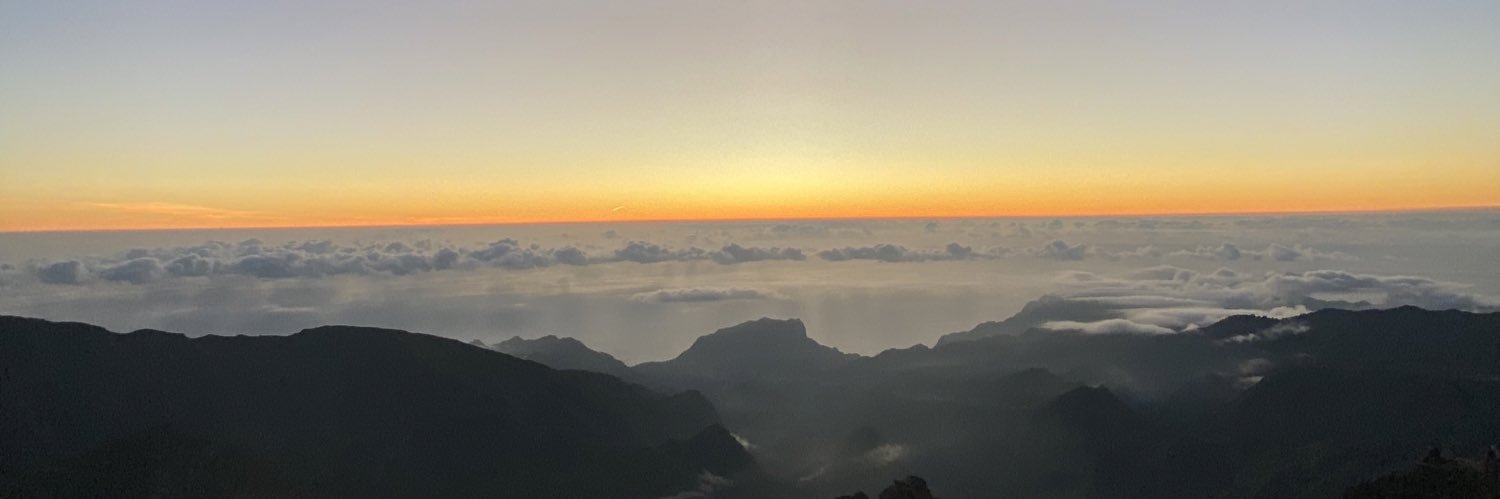 drzbraz's profile banner image