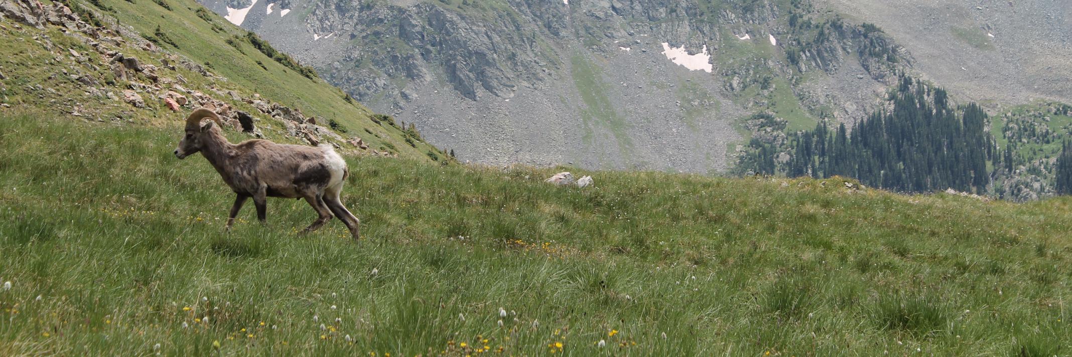 JamesJWLynch's profile banner image