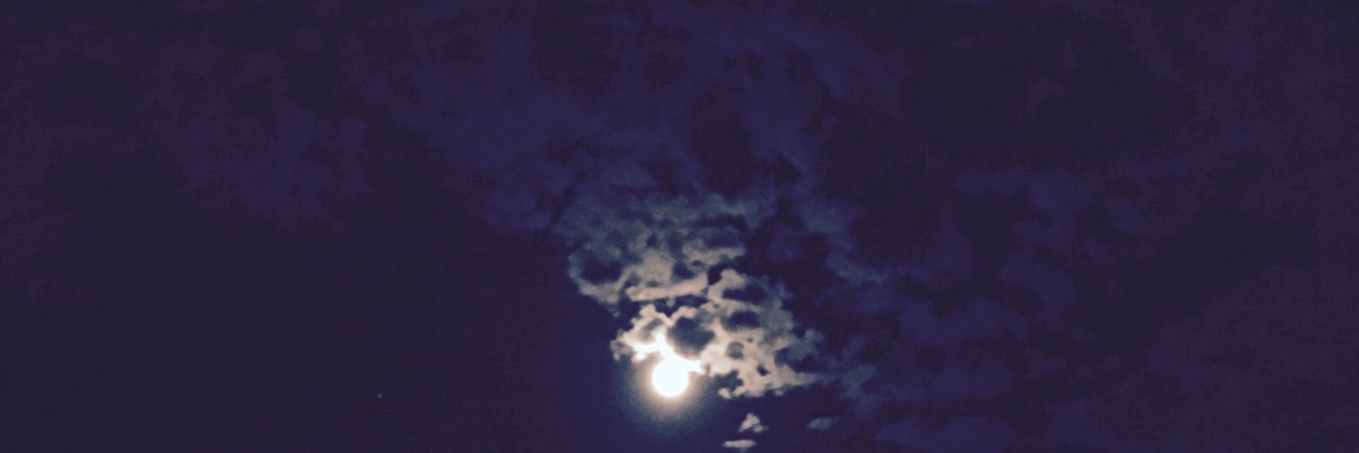 MackenzieLee21's profile banner image