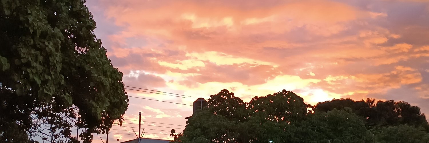 brenCaroro's profile banner image