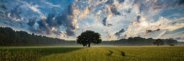 Twin278 Profile Banner