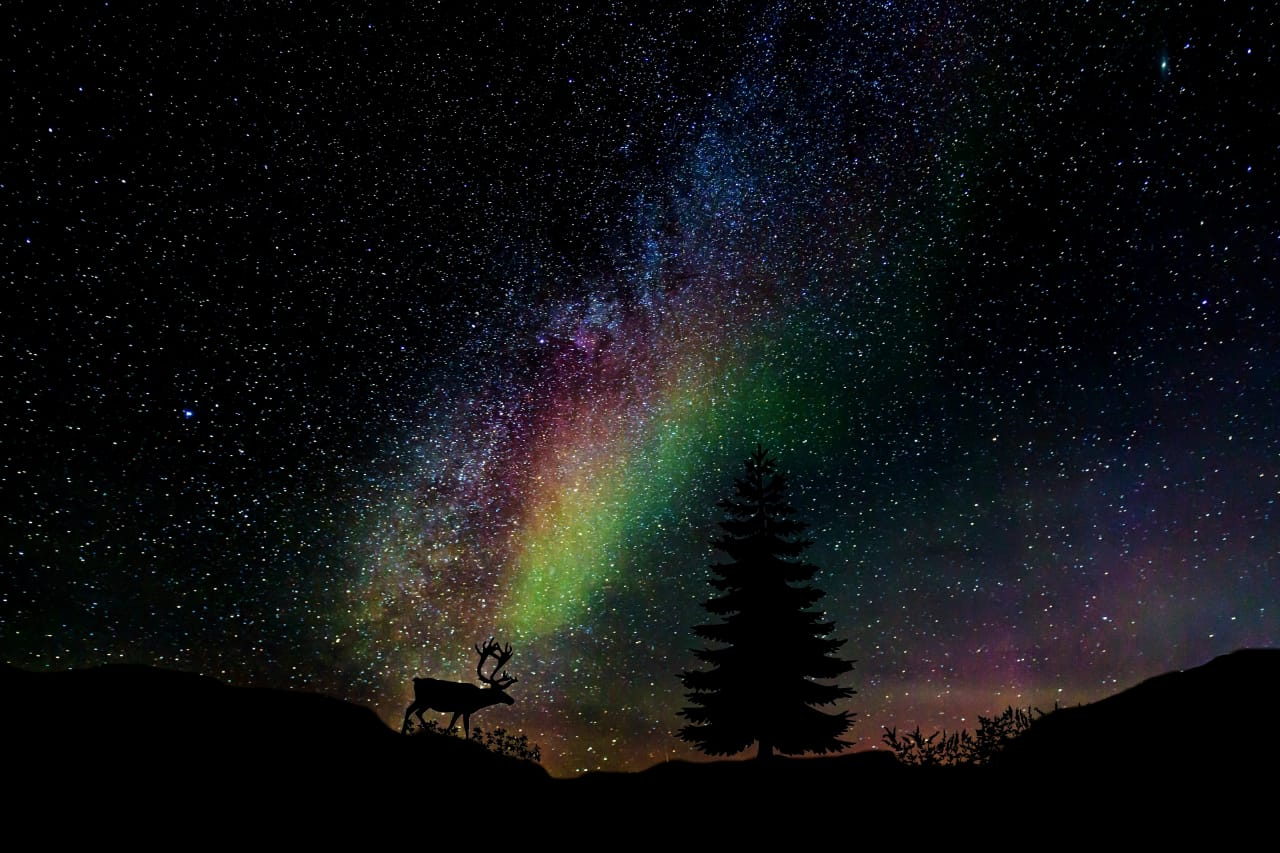 LenteArte's profile banner image