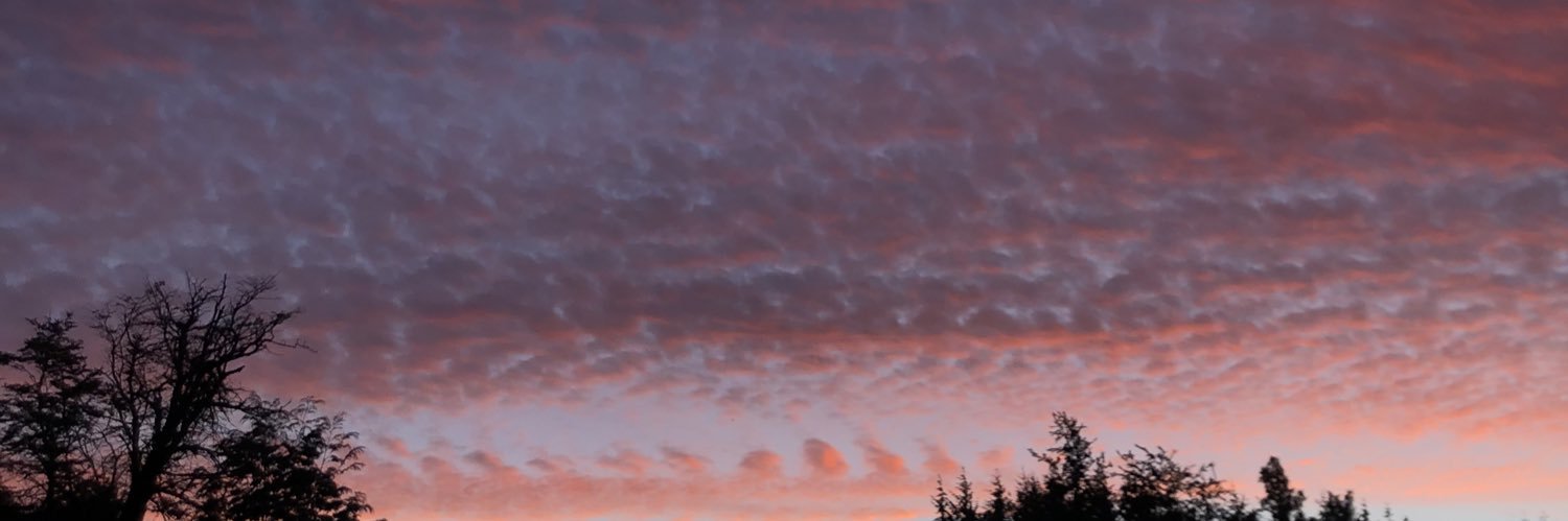 SoffiBarbella's profile banner image