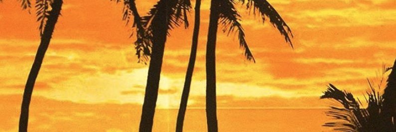 RafaelHallal's profile banner image