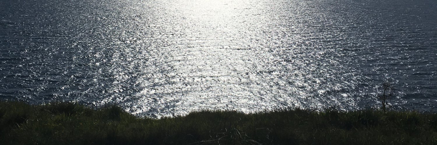 DorsetFLO's banner