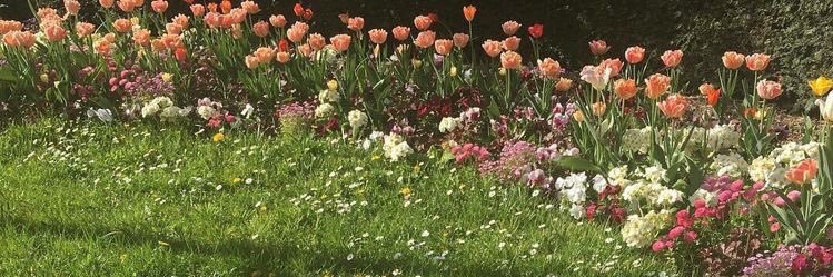 slowt2wn's profile banner image