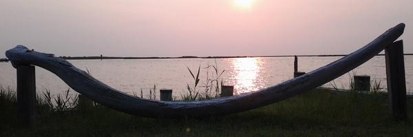 cwaltersVA Profile Banner