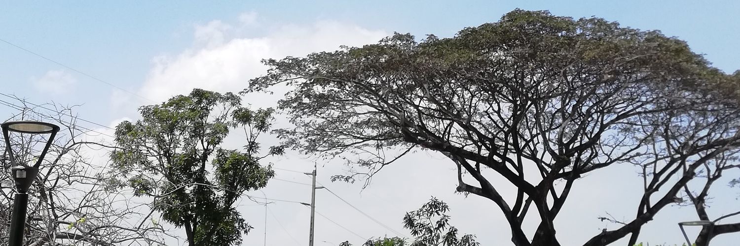 MariajoseVL__'s profile banner image