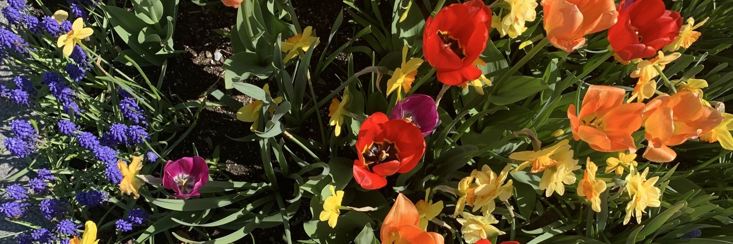 MrsESantamaria's profile banner image