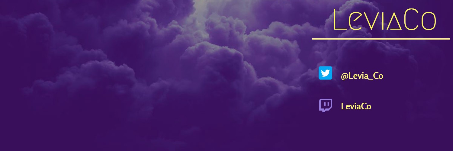 LeviaCo banner