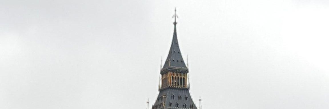 MMayer132's profile banner image