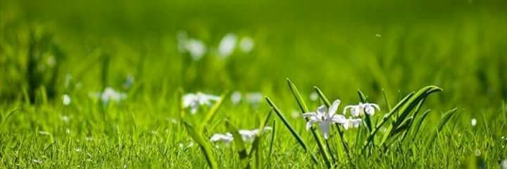idinzainuddin's profile banner image