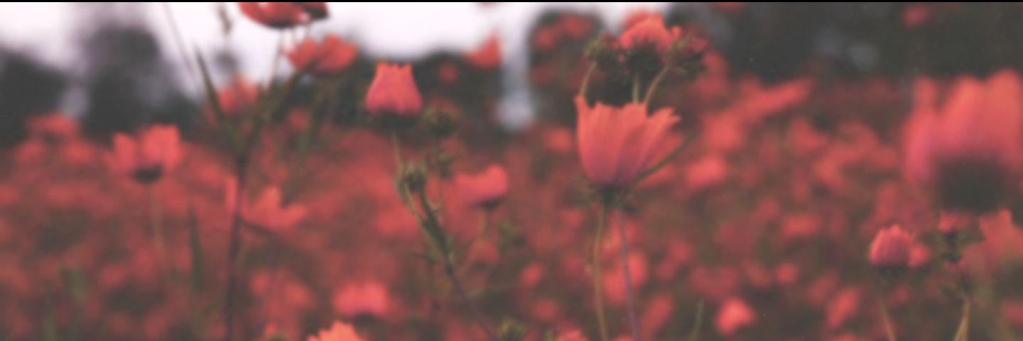 R5Family_PR_'s profile banner image