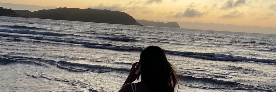 pancesa_'s profile banner image