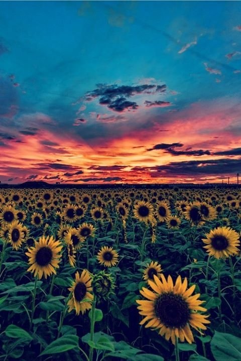 KassLeblanc's profile banner image