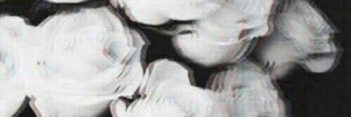 directioner13_e's profile banner image