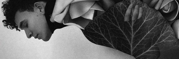 JordanvsKennedy's profile banner image