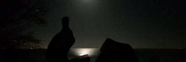 jerrylin Profile Banner