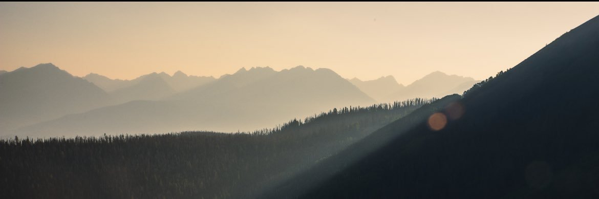 Ashlyn_Fonstad's profile banner image