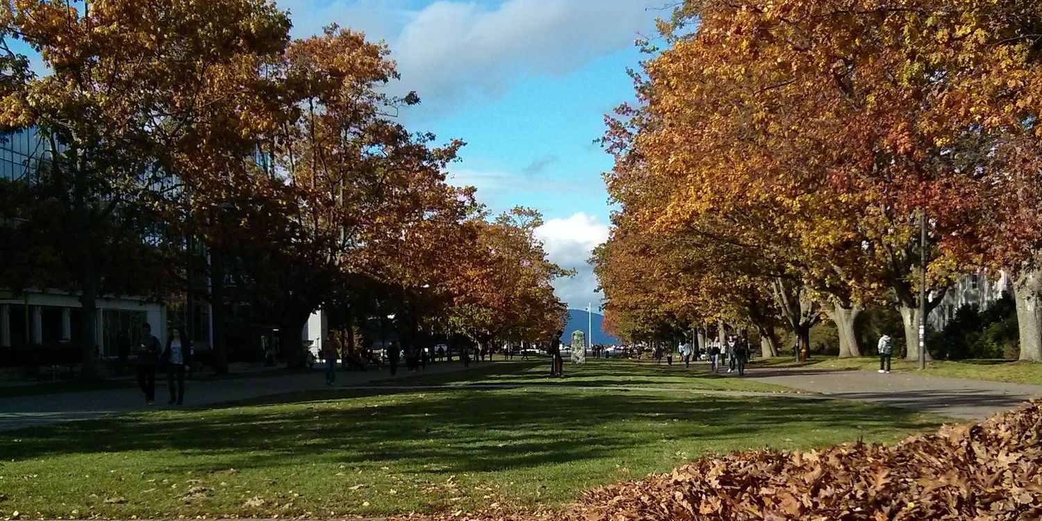 Case Comp Club banner