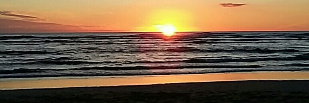 Cornwall Police Dogs banner