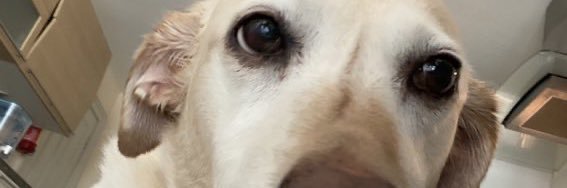 orianabyrnes's profile banner image