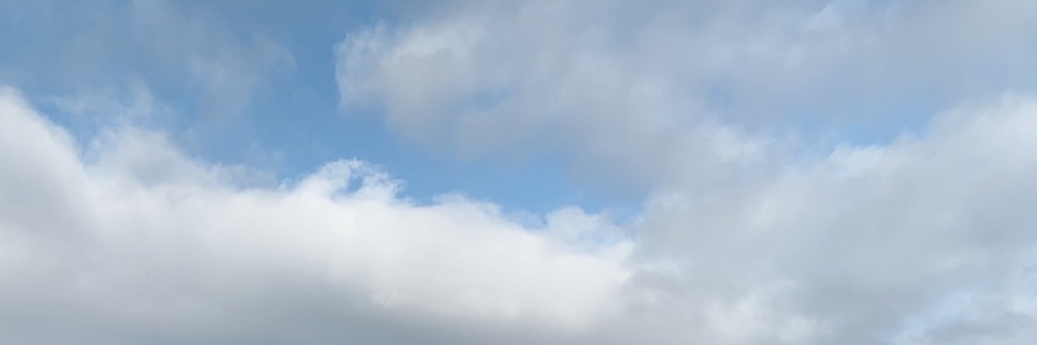amyycol's profile banner image